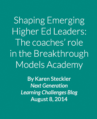 Shaping Emerging Leaders